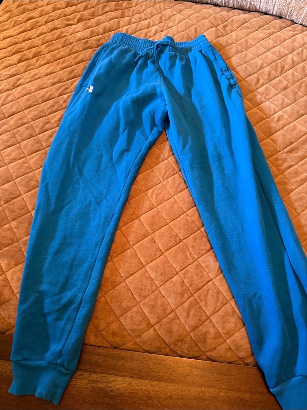 Under Armour Teal Kids Fleece Joggers